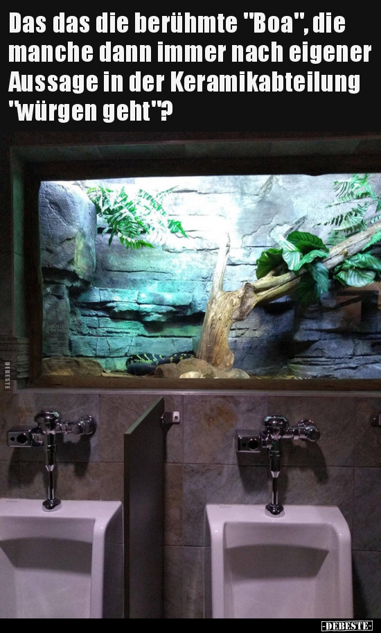 Das das die berühmte "Boa", die manche dann immer nach..