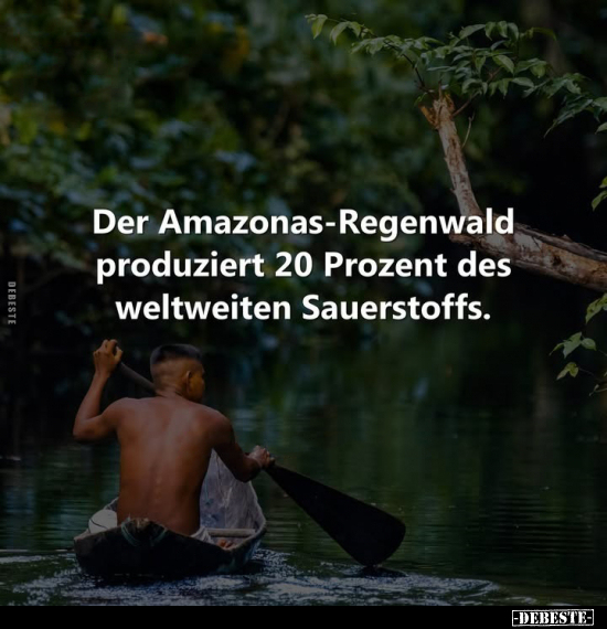 Der Amazonas-Regenwald produziert 20 Prozent des weltweiten.. - Lustige Bilder | DEBESTE.de