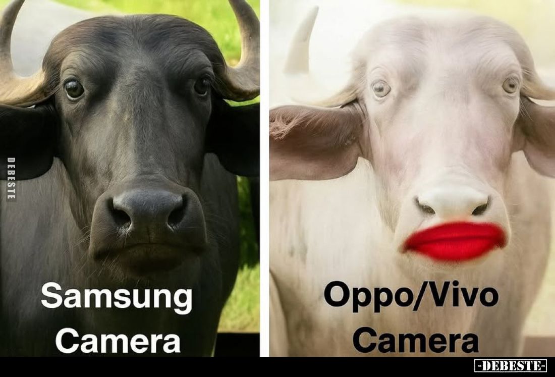 Samsung Camera vs
Oppo/Vivo
Camera.