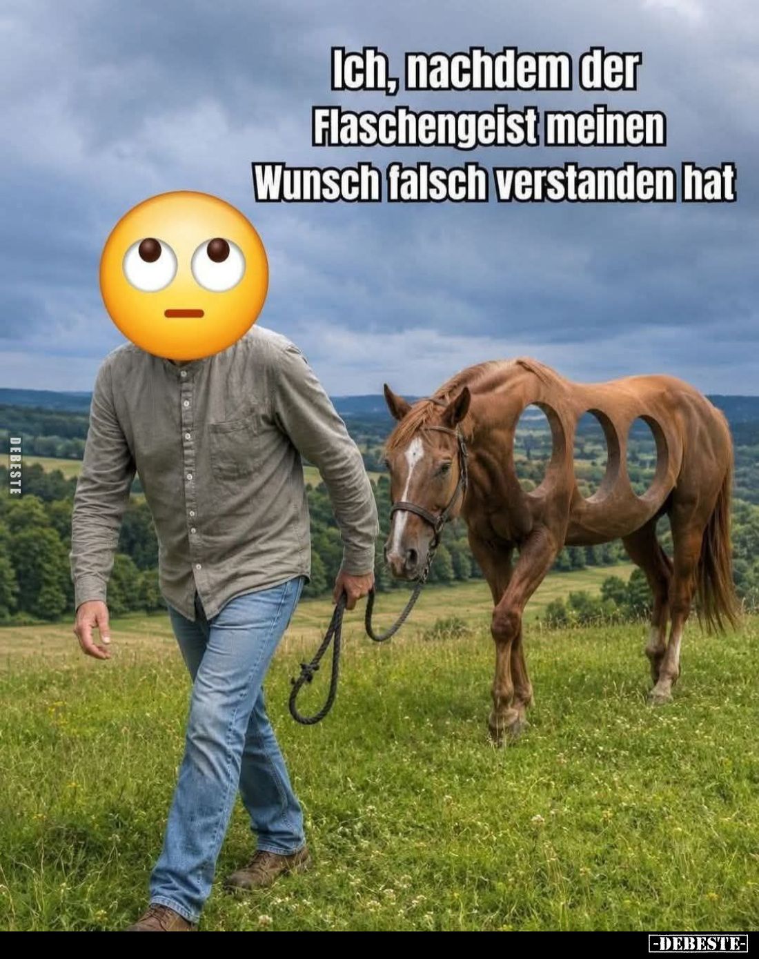 Ich, nachdem der Flaschengeist meinen Wunsch falsch verstanden hat.