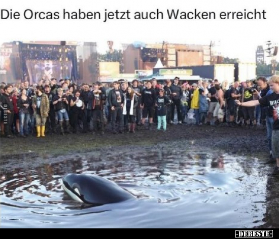 Die Orcas haben jetzt auch Wacken erreicht.. - Lustige Bilder | DEBESTE.de