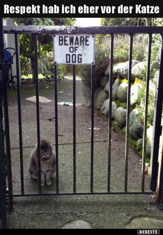 Respekt hab ich eher vor der Katze.. - Lustige Bilder | DEBESTE.de