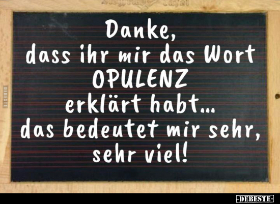 Danke, dass ihr mir das Wort OPULENZ erklärt habt... - Lustige Bilder | DEBESTE.de