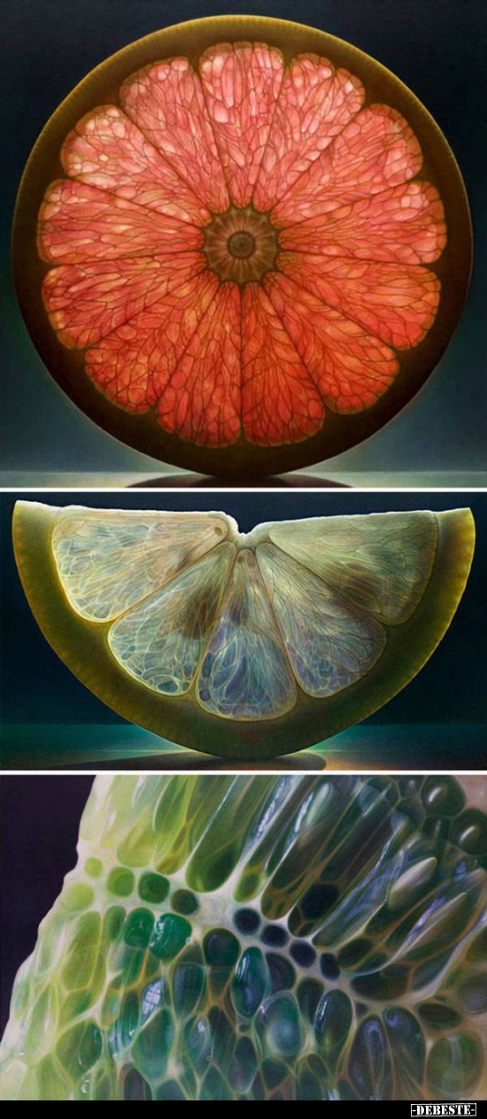  - Lustige Bilder | DEBESTE.de