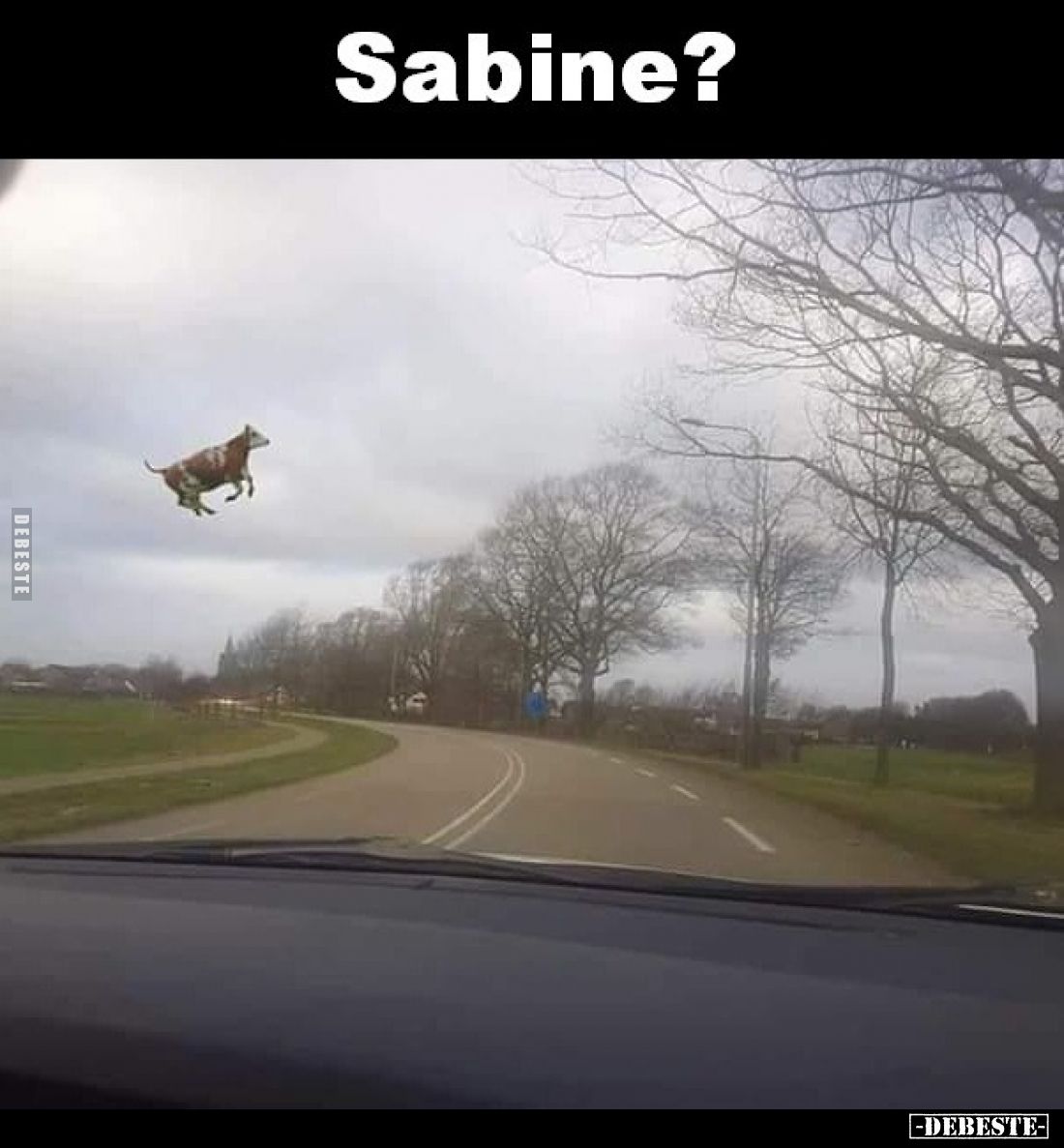 Sabine?.. - Lustige Bilder | DEBESTE.de
