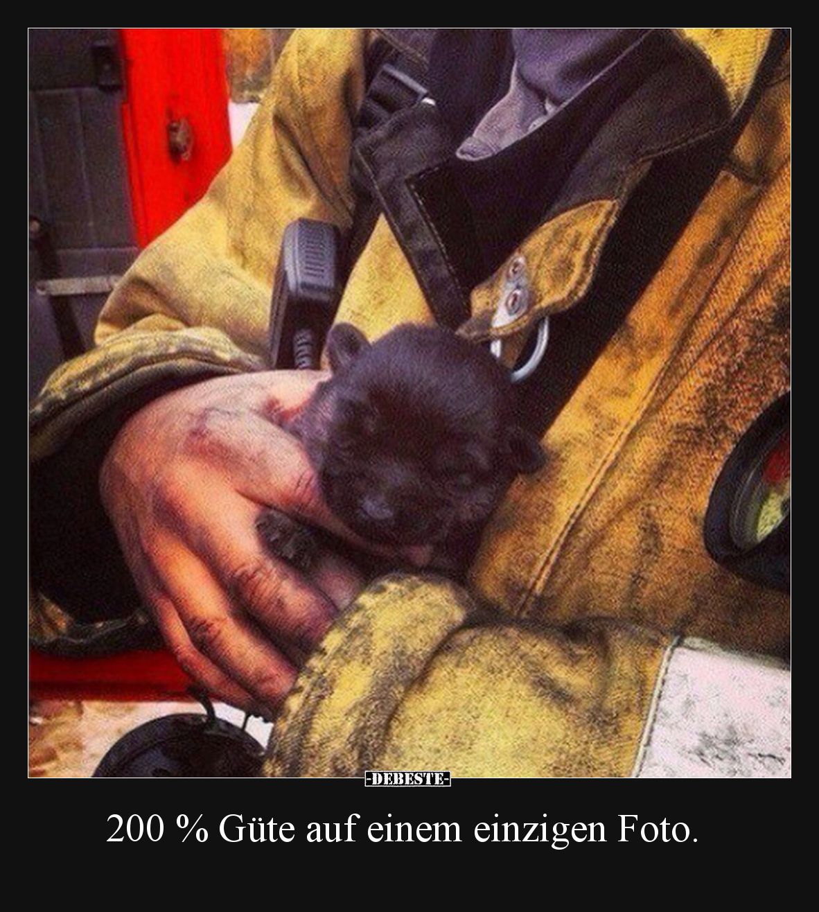 200 % Güte auf einem einzigen Foto... - Lustige Bilder | DEBESTE.de