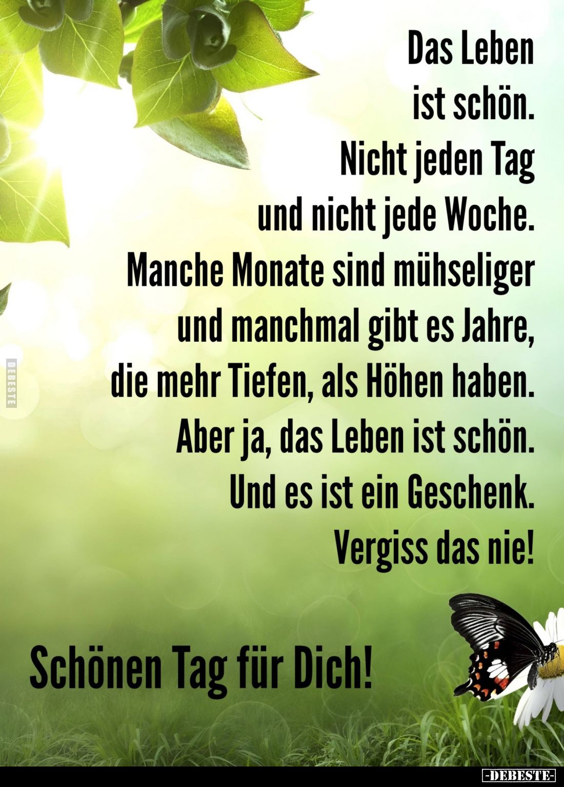 Das Leben ist schön.
Nicht jeden Tag und nicht jede Woche.
Manche Monate sind mühseliger und manchmal gibt es Jahre, die me...