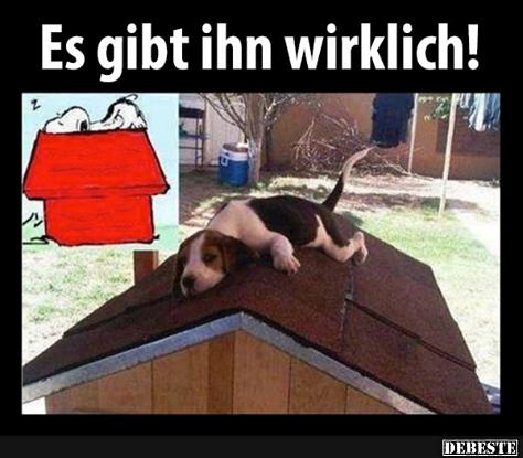 Es gibt ihn wirklich!