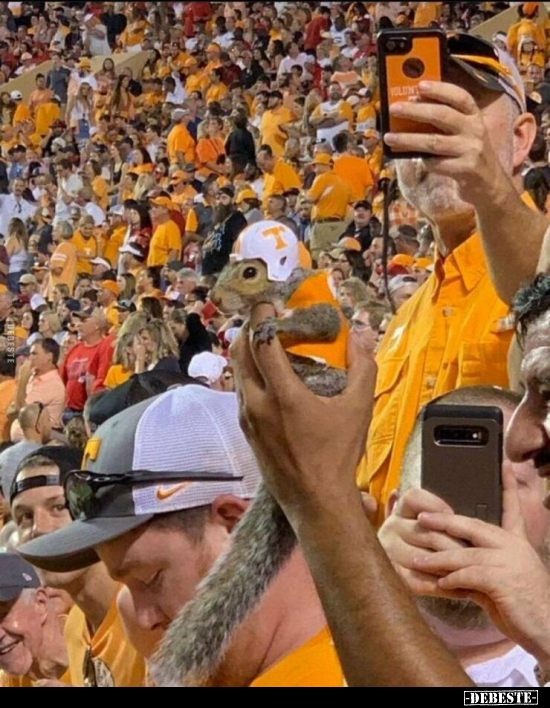  - Lustige Bilder | DEBESTE.de