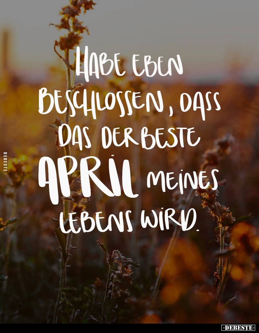 Habe eben beschlossen... - Lustige Bilder | DEBESTE.de