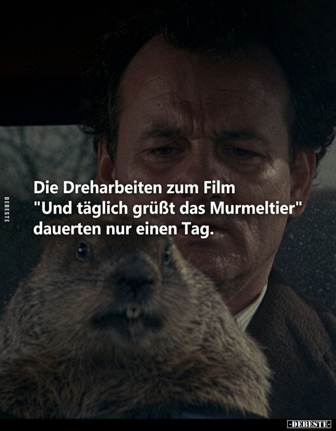 Die Dreharbeiten zum Film "Und täglich grüßt das Murmeltier" dauerten nur einen Tag.