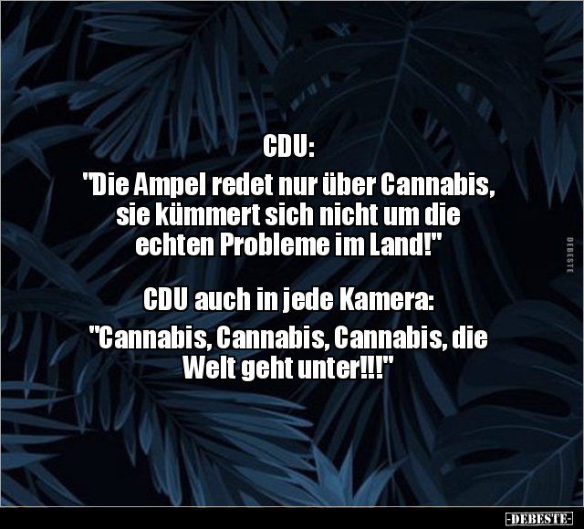 CDU: "Die Ampel redet nur über Cannabis.." - Lustige Bilder | DEBESTE.de
