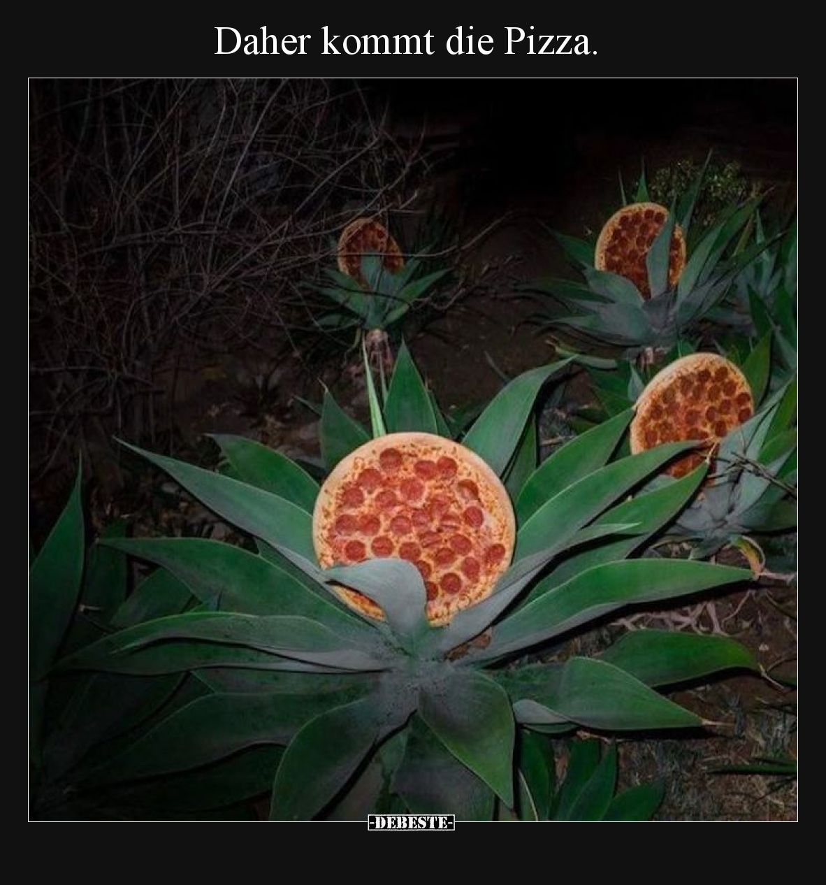 Daher kommt die Pizza... - Lustige Bilder | DEBESTE.de