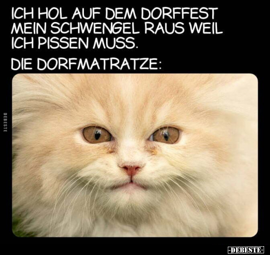 Ich hol auf dem Dorffest mein Schwengel raus, weil ich.. - Lustige Bilder | DEBESTE.de