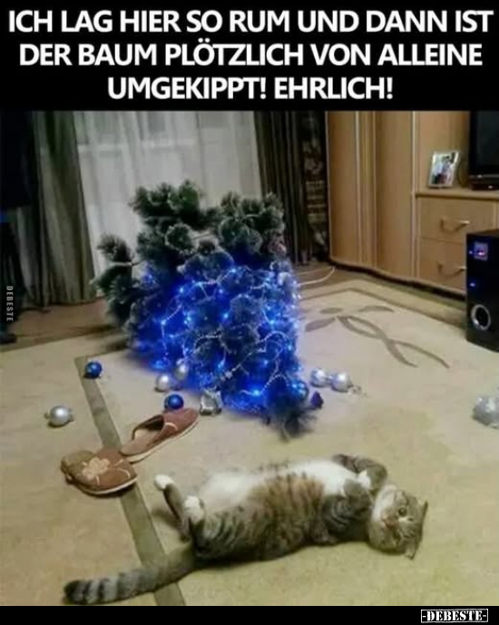 Ich lag hier so rum und dann ist der Baum plötzlich.. - Lustige Bilder | DEBESTE.de