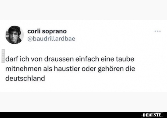 Darf ich von draußen einfach eine Taube mitnehmen als.. - Lustige Bilder | DEBESTE.de