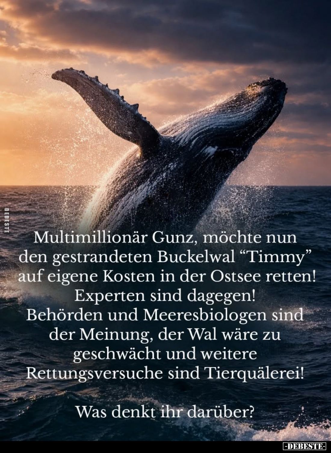 Multimillionär Gunz, möchte nun den gestrandeten Buckelwal.. - Lustige Bilder | DEBESTE.de