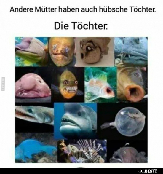 Andere Mütter haben auch hübsche Töchter.