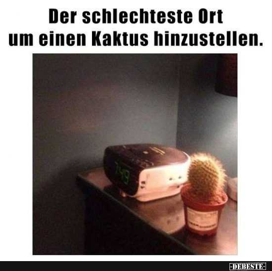 Der schlechteste Ort um einen Kaktus hinzustellen. - Lustige Bilder | DEBESTE.de