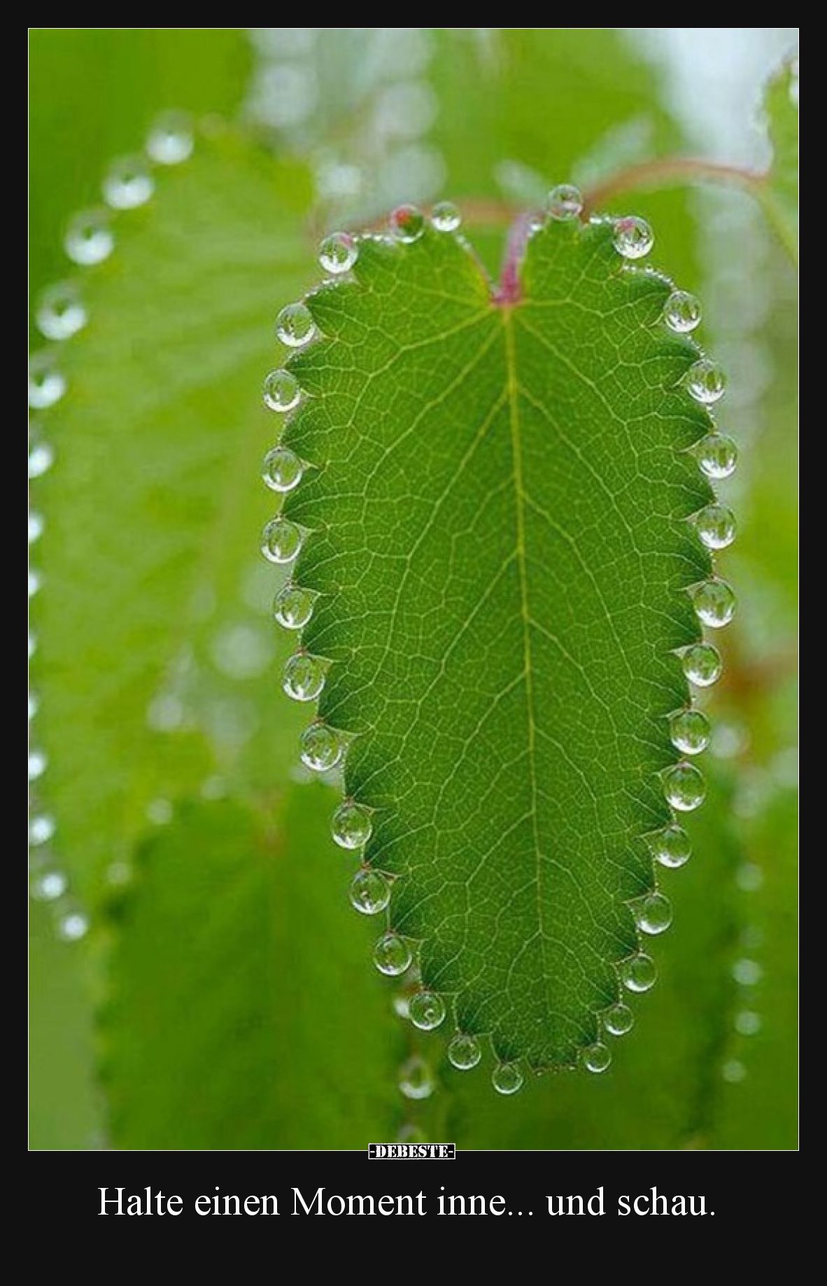 Halte einen Moment inne... und schau... - Lustige Bilder | DEBESTE.de