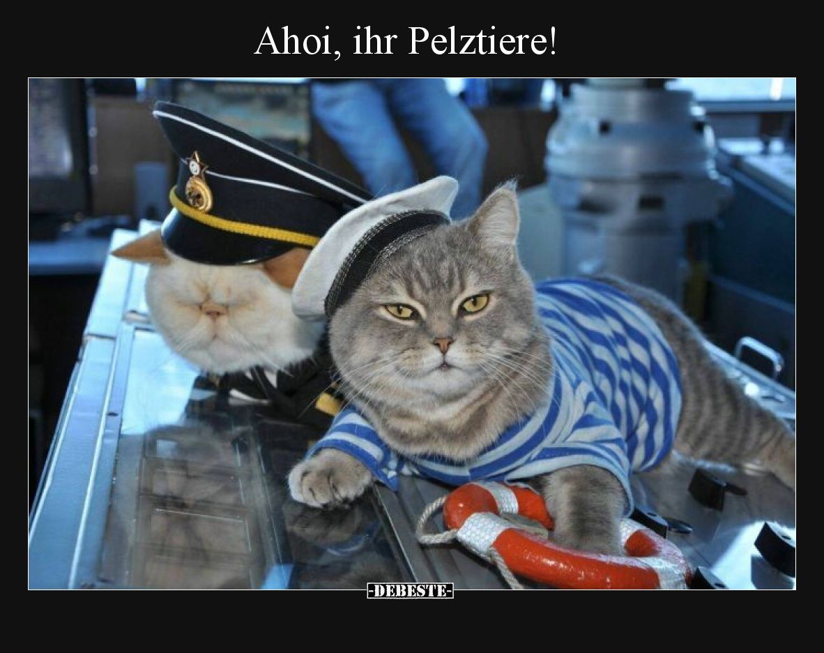 Ahoi, ihr Pelztiere!