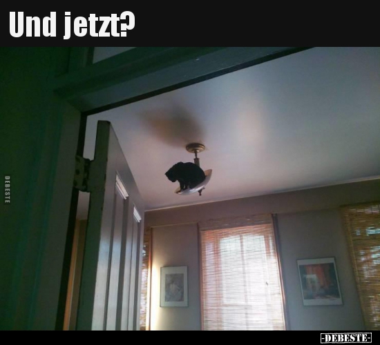 Und jetzt?..