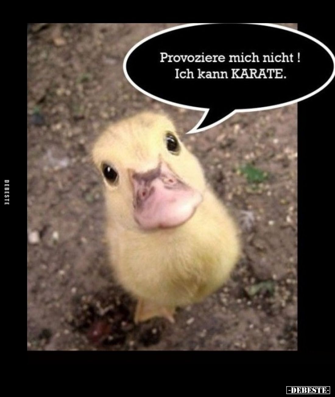 Provoziere mich nicht! Ich kann KARATE.