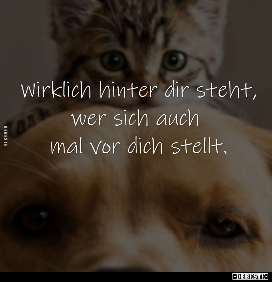Wirklich hinter dir steht,
wer sich auch mal vor dich stellt.
