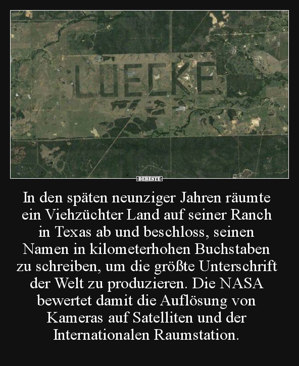 In den späten neunziger Jahren räumte ein Viehzüchter Land..
