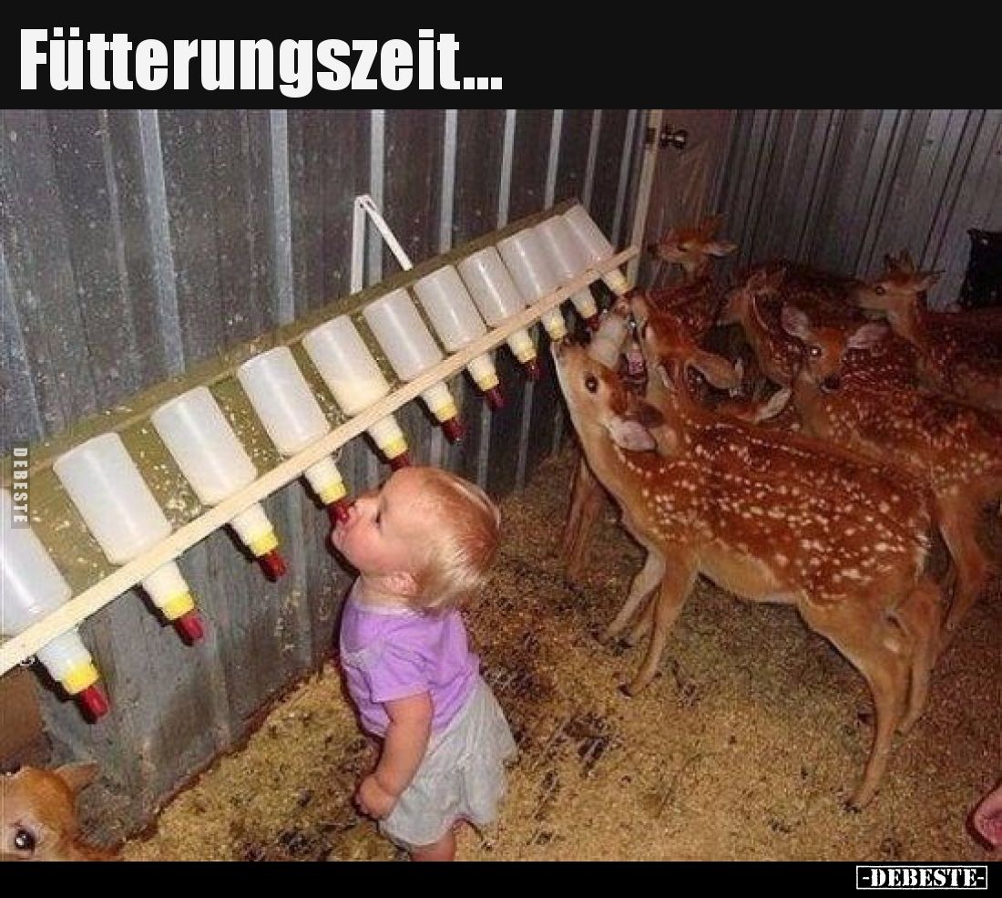 Fütterungszeit.. - Lustige Bilder | DEBESTE.de