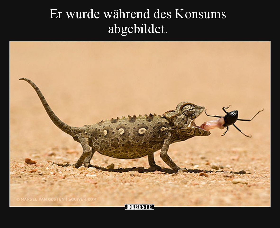 Er wurde während des Konsums abgebildet.