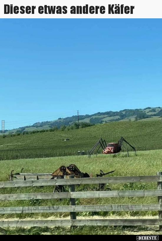 Dieser etwas andere Käfer..