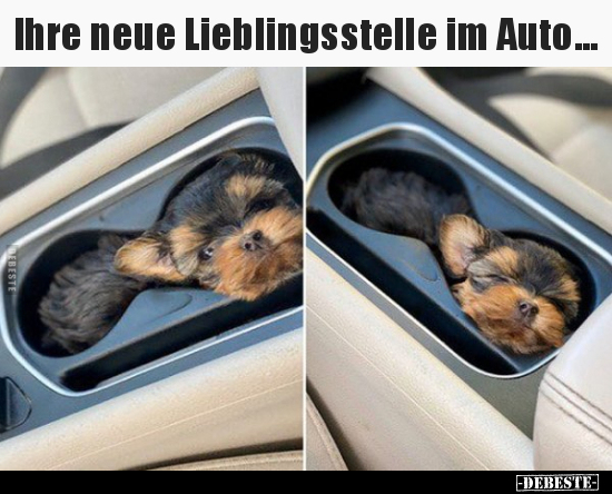 Ihre neue Lieblingsstelle im Auto...