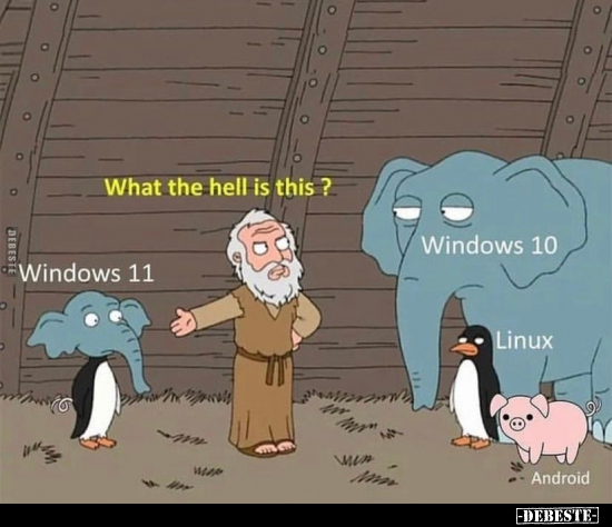 What the hell is this ?