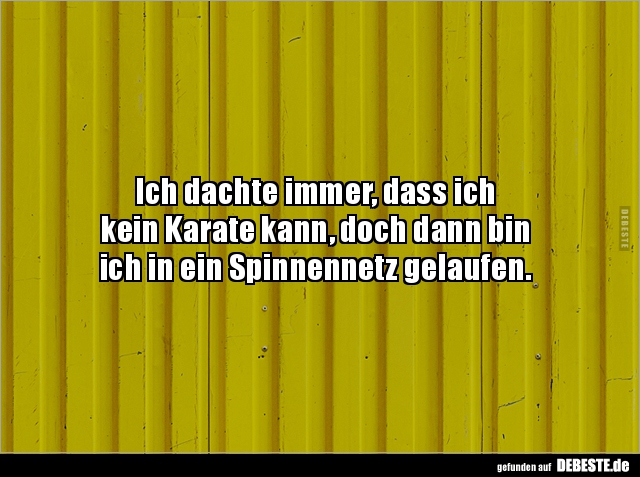 Ich dachte immer, dass ich kein Karate kann, doch dann bin.. - Lustige Bilder | DEBESTE.de