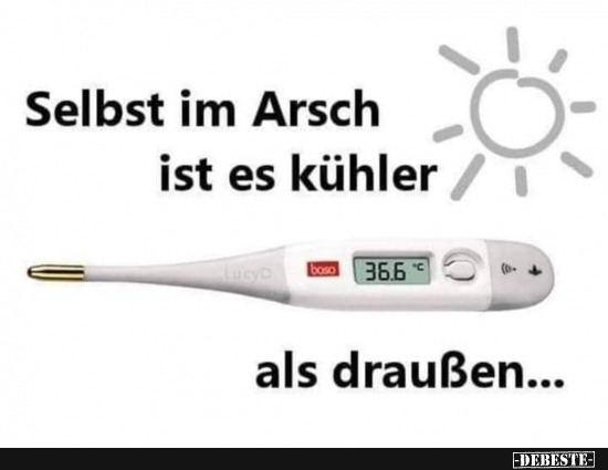 Selbst im Arsch ist es kühler.. - Lustige Bilder | DEBESTE.de