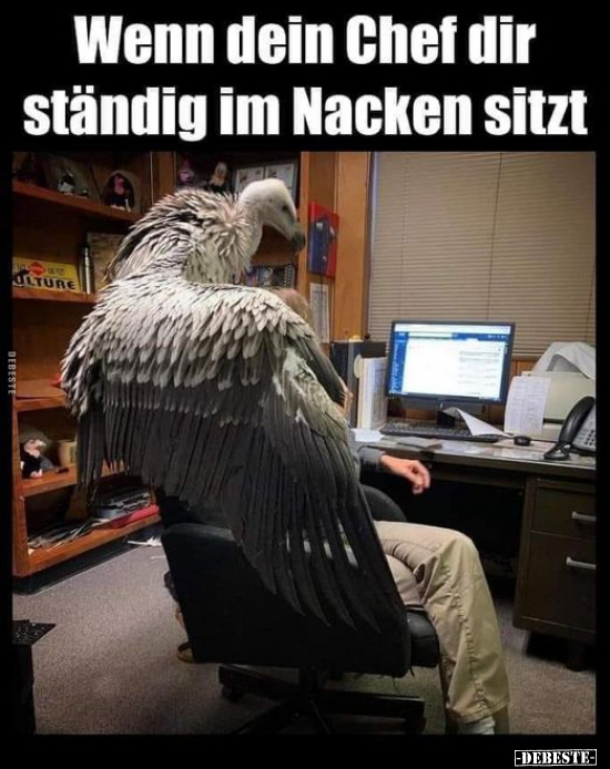 Wenn dein Chef dir ständig im Nacken sitzt.. - Lustige Bilder | DEBESTE.de