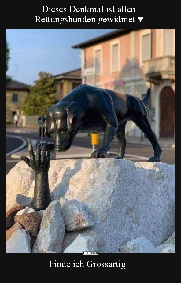 Dieses Denkmal ist allen Rettungshunden gewidmet ♥.. - Lustige Bilder | DEBESTE.de