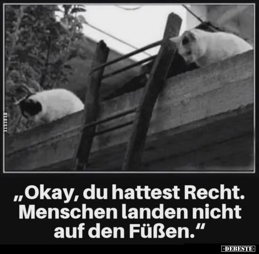 "Okay, du hattest Recht. Menschen landen nicht auf den.." - Lustige Bilder | DEBESTE.de