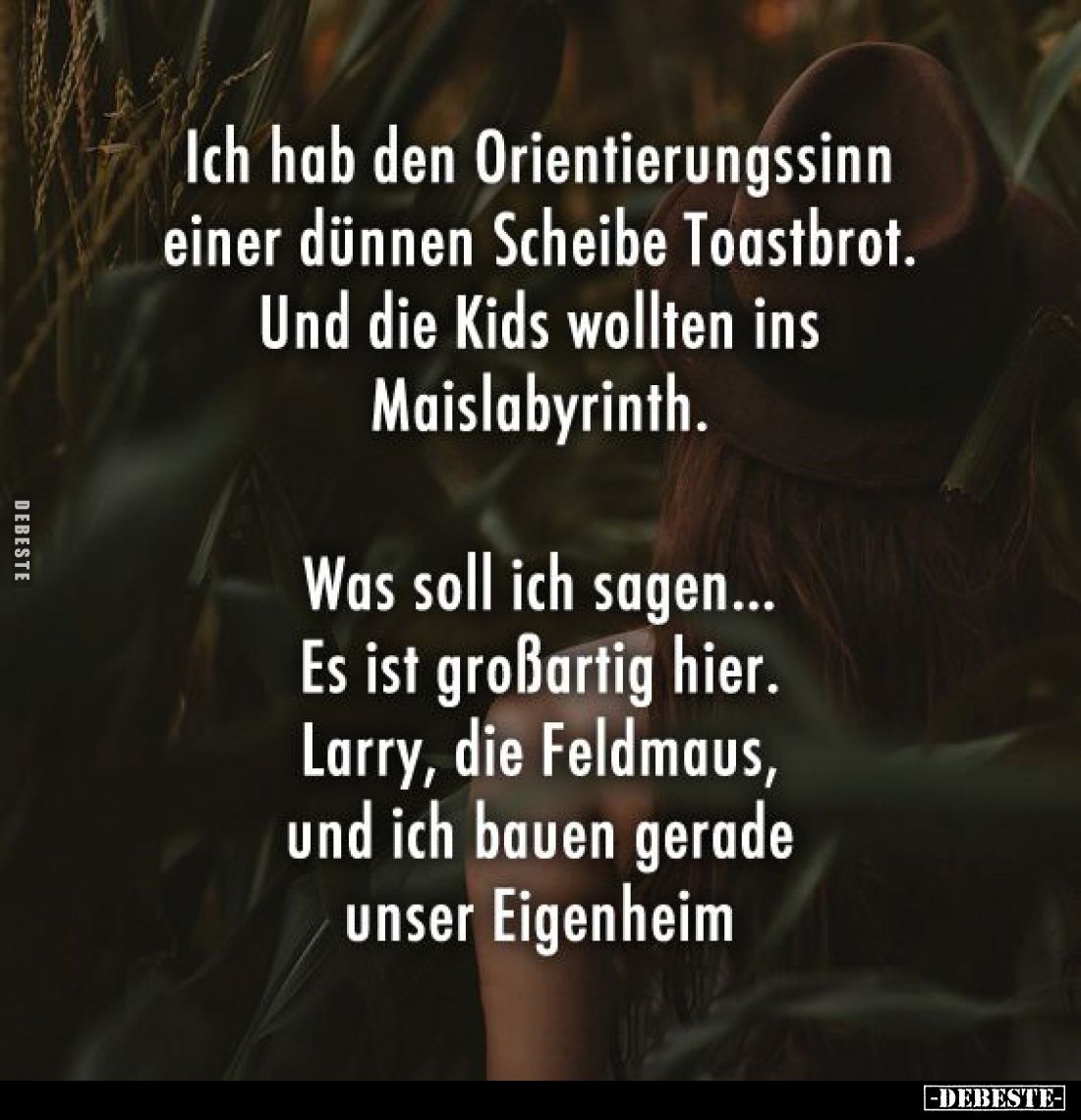 Ich hab den Orientierungssinn einer dünnen Scheibe Toastbrot. Und die Kids wollten ins Maislabyrinth.
Was soll ich sagen... ...