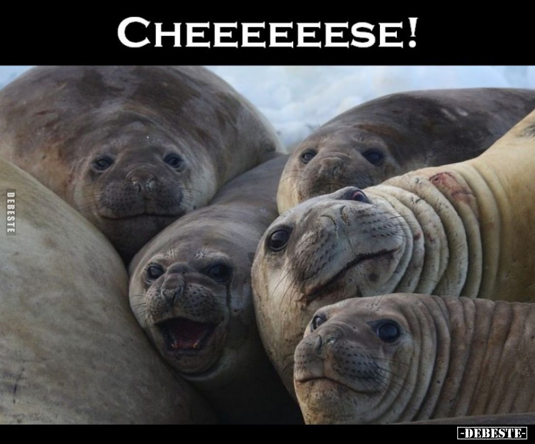 Cheeeeeese!