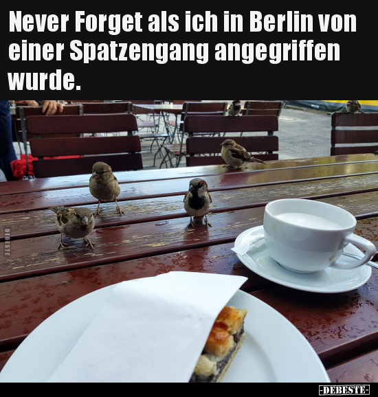 Never Forget als ich in Berlin von einer Spatzengang..