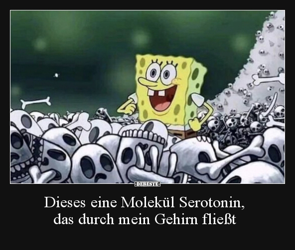 Dieses eine Molekül Serotonin, das durch mein Gehirn.. - Lustige Bilder | DEBESTE.de