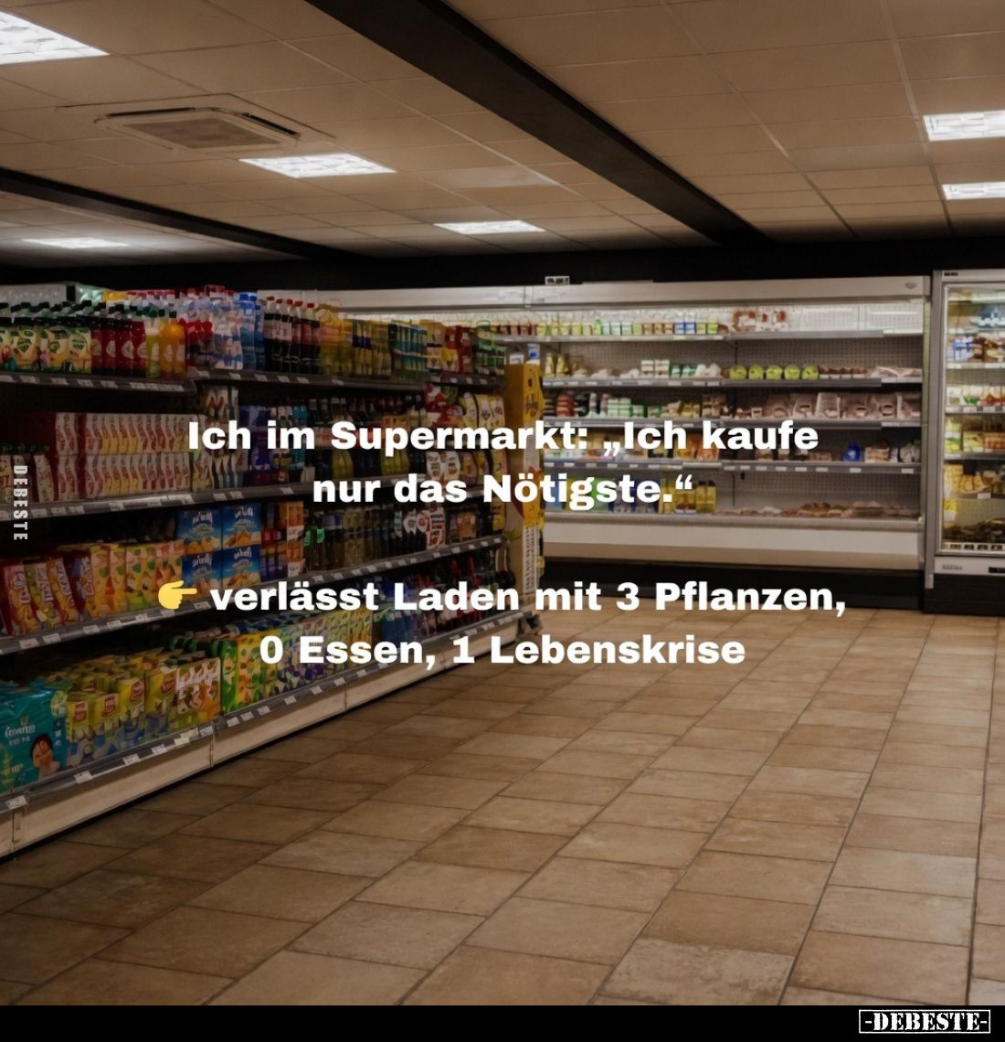 Ich im Supermarkt: „Ich kaufe nur das Nötigste.“
verlässt Laden mit 3 Pflanzen, 0 Essen, 1 Lebenskrise