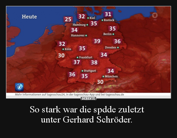So stark war die spdde zuletzt  unter Gerhard Schröder...