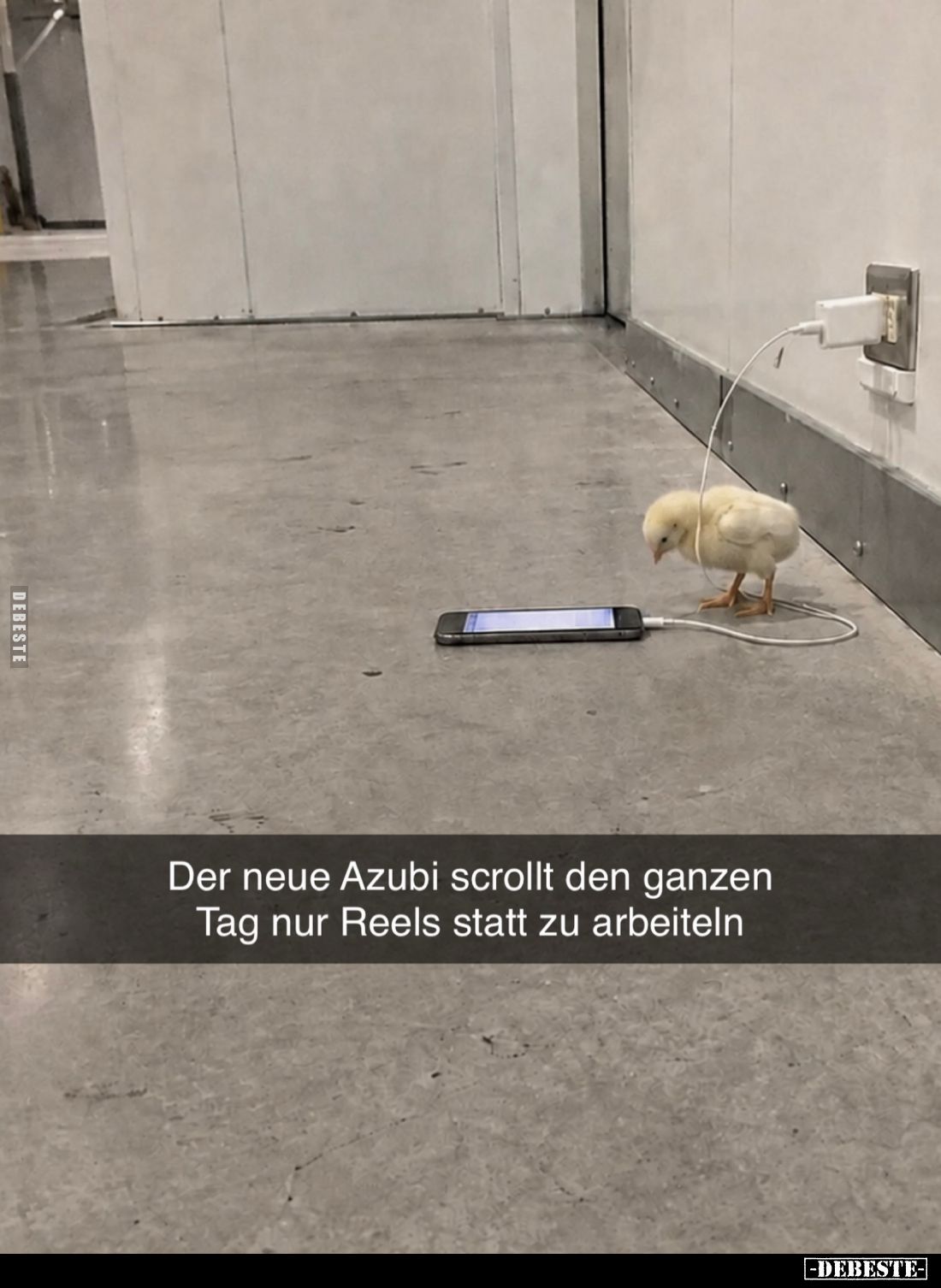 Der neue Azubi scrollt den ganzen Tag nur Reels statt zu arbeiten