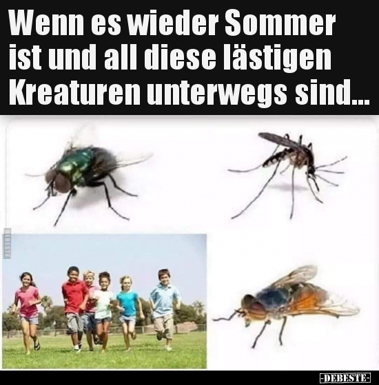 Wenn es wieder Sommer ist und all diese lästigen Kreaturen..