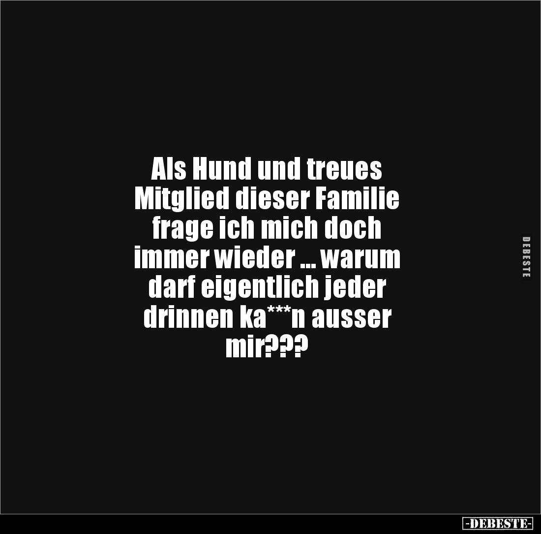 Als Hund und treues 
Mitglied dieser Familie 
frage ich mich doch 
immer wieder ... warum 
darf eigentlich jeder 
drinne...
