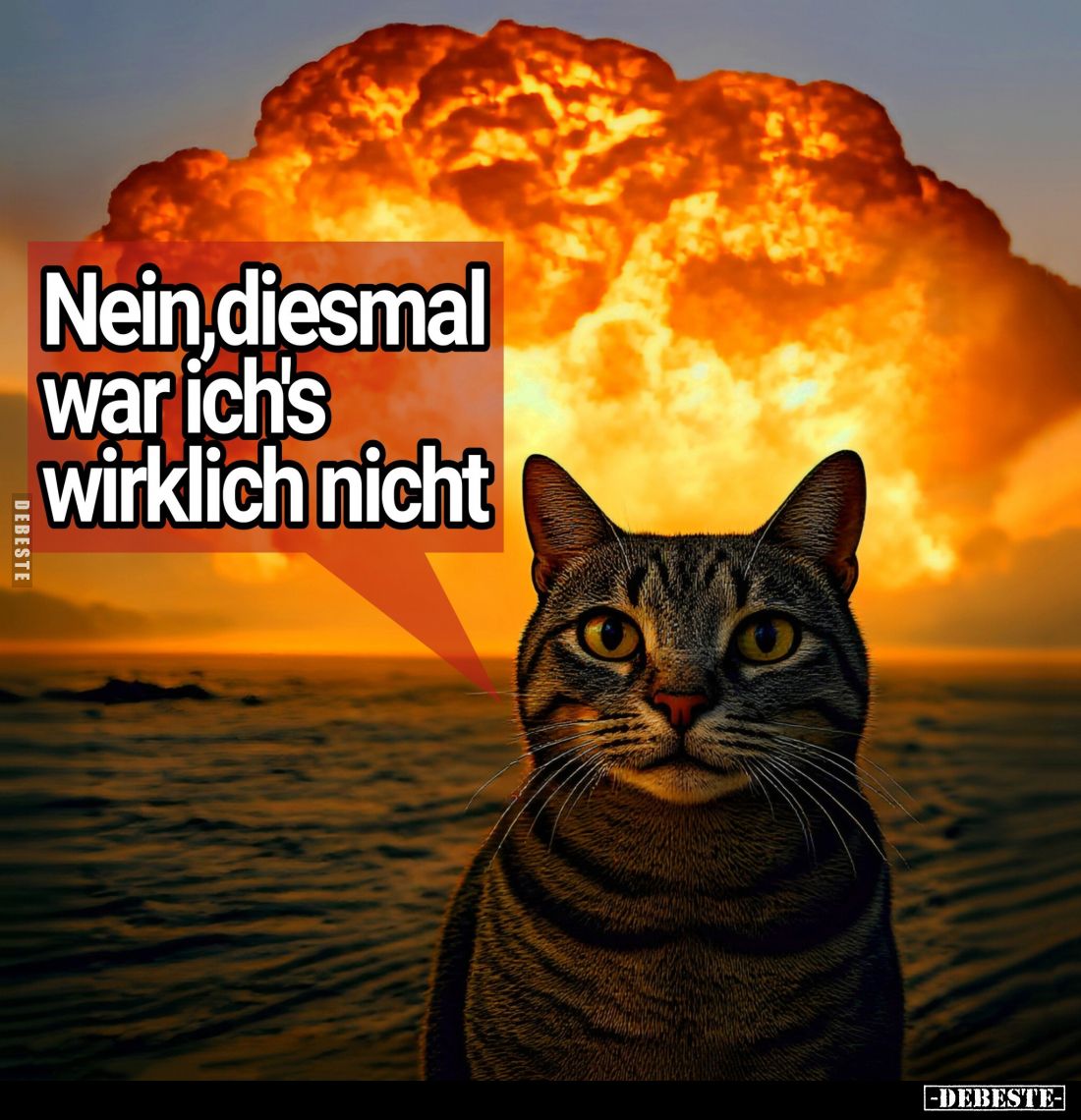 Nein, diesmal war ich's wirklich nicht.