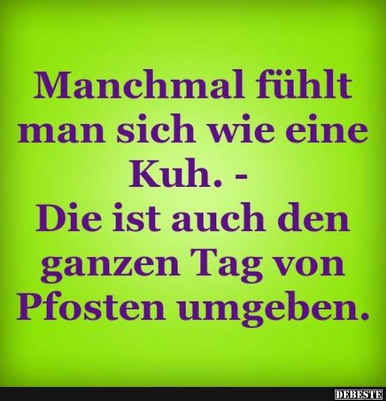 Manchmal fühlt man sich wie eine Kuh..